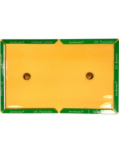 Trampa Rata uso domestico