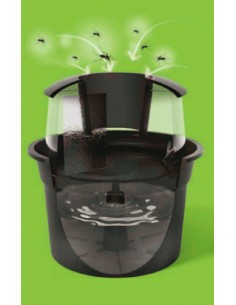 BG-GAT TRAMPA MOSQUITO