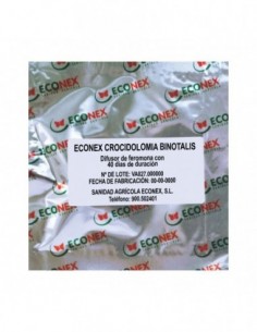 ECONEX CROCIDOLOMIA BINOTALIS