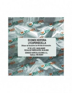ECONEX KEIFERIA LYCOPERSICELLA