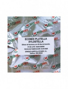 ECONEX PLUTELLA XYLOSTELLA