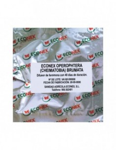 ECONEX OPEROPHTERA...