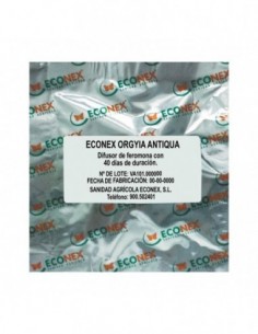 ECONEX ORGYIA ANTIQUA
