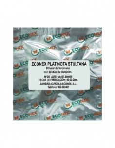 ECONEX PLATYNOTA STULTANA