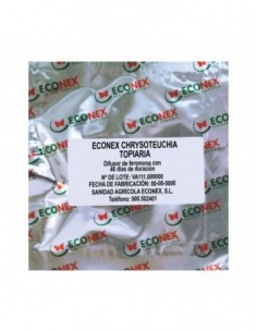 ECONEX CHRYSOTEUCHIA TOPIARIA