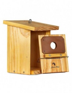 Caja nido tratada con... 2