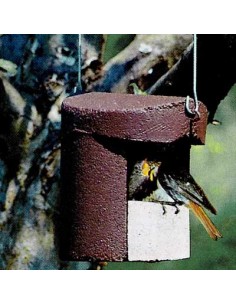 2H Caja nido para petirrojo...