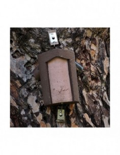 2B Caja nido para agateador... 2