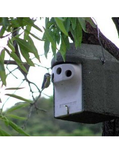 2GR Caja nido para páridos... 2