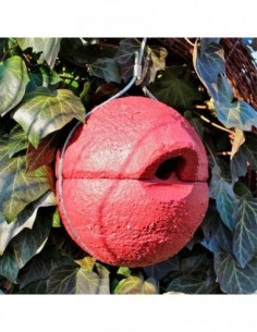 1ZA Caja nido para chochín