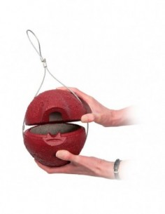 1ZA Caja nido para chochín 2